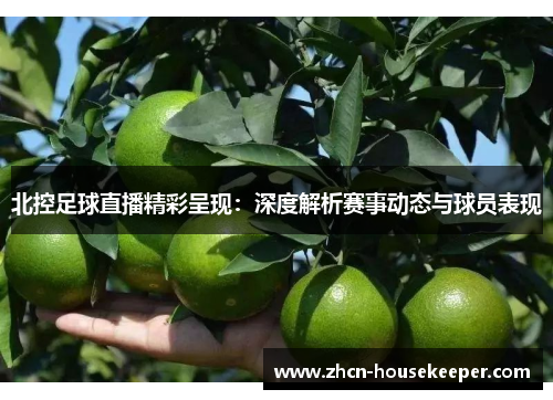 北控足球直播精彩呈现：深度解析赛事动态与球员表现
