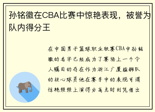 孙铭徽在CBA比赛中惊艳表现，被誉为队内得分王